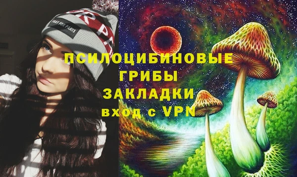 стафф Богородицк